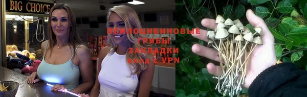 винт Баксан