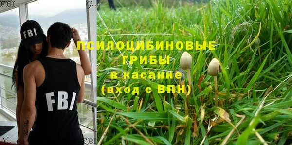 амф Балахна
