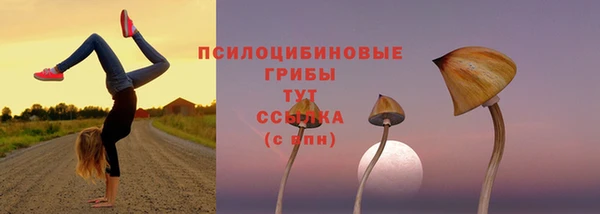 винт Баксан