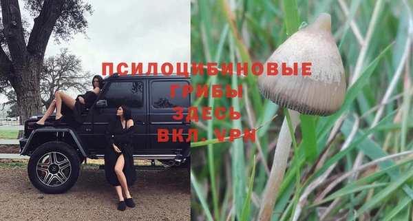 твердый Магас