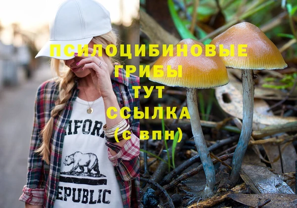 винт Баксан