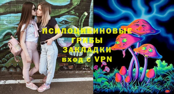 амф Балахна